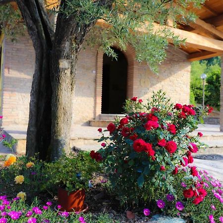 Agriturismo La Tana Citta di Castello Bagian luar foto