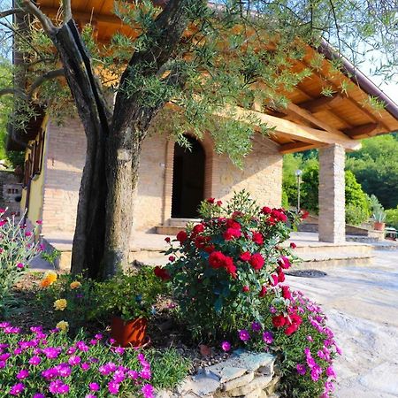 Agriturismo La Tana Citta di Castello Bagian luar foto