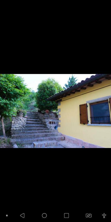 Agriturismo La Tana Citta di Castello Bagian luar foto